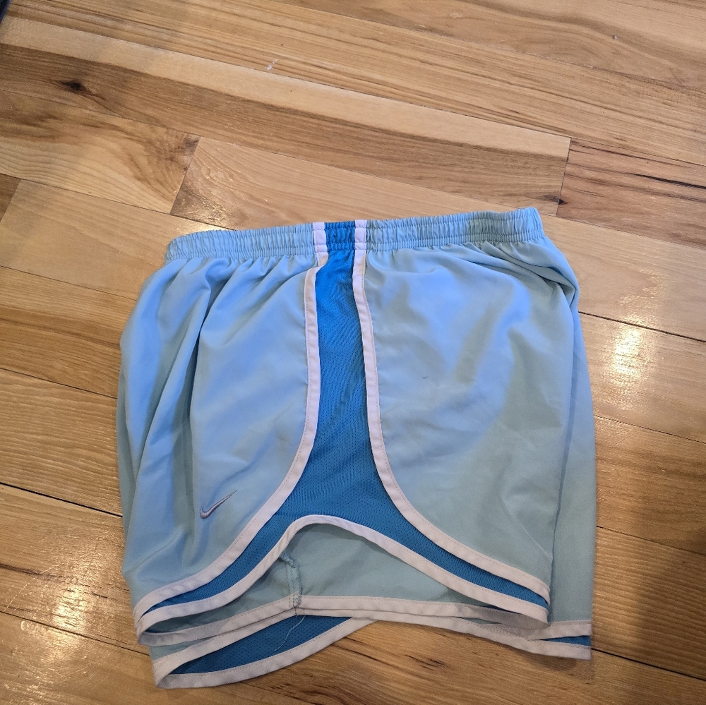 Nike Dri-FIT Blue Shorts